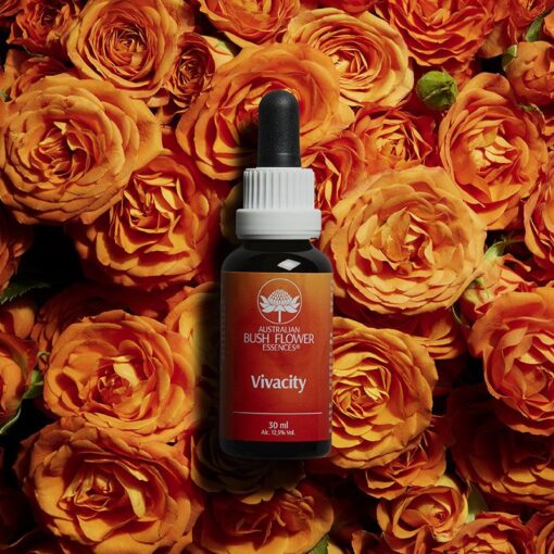 Vivacity - combinazione 30ml