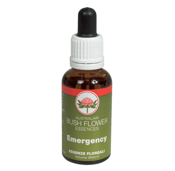 Waratah il fiore del coraggio – Bush Flower Essences