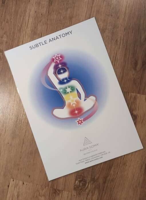 Poster Anatomia Sottile