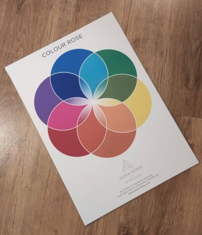 Poster Rosa del Colore