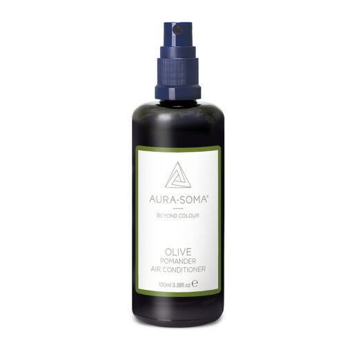 Spray per ambiente Pomander 100ml - Olive Green