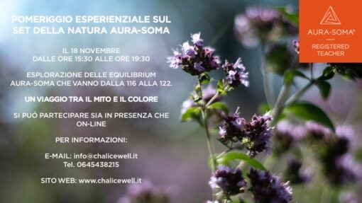Pomeriggio esperienziale con il Set della Natura Aura-Soma ( 18 Novembre dalle 15.30 alle 19.30)